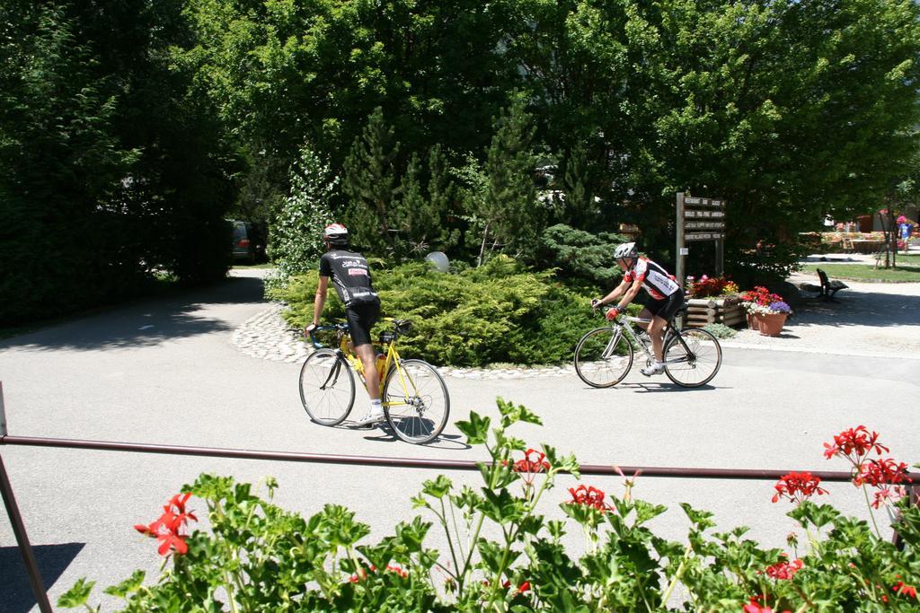 Camping Le Colporteur Hotel Le Bourg-dʼOisans Buitenkant foto